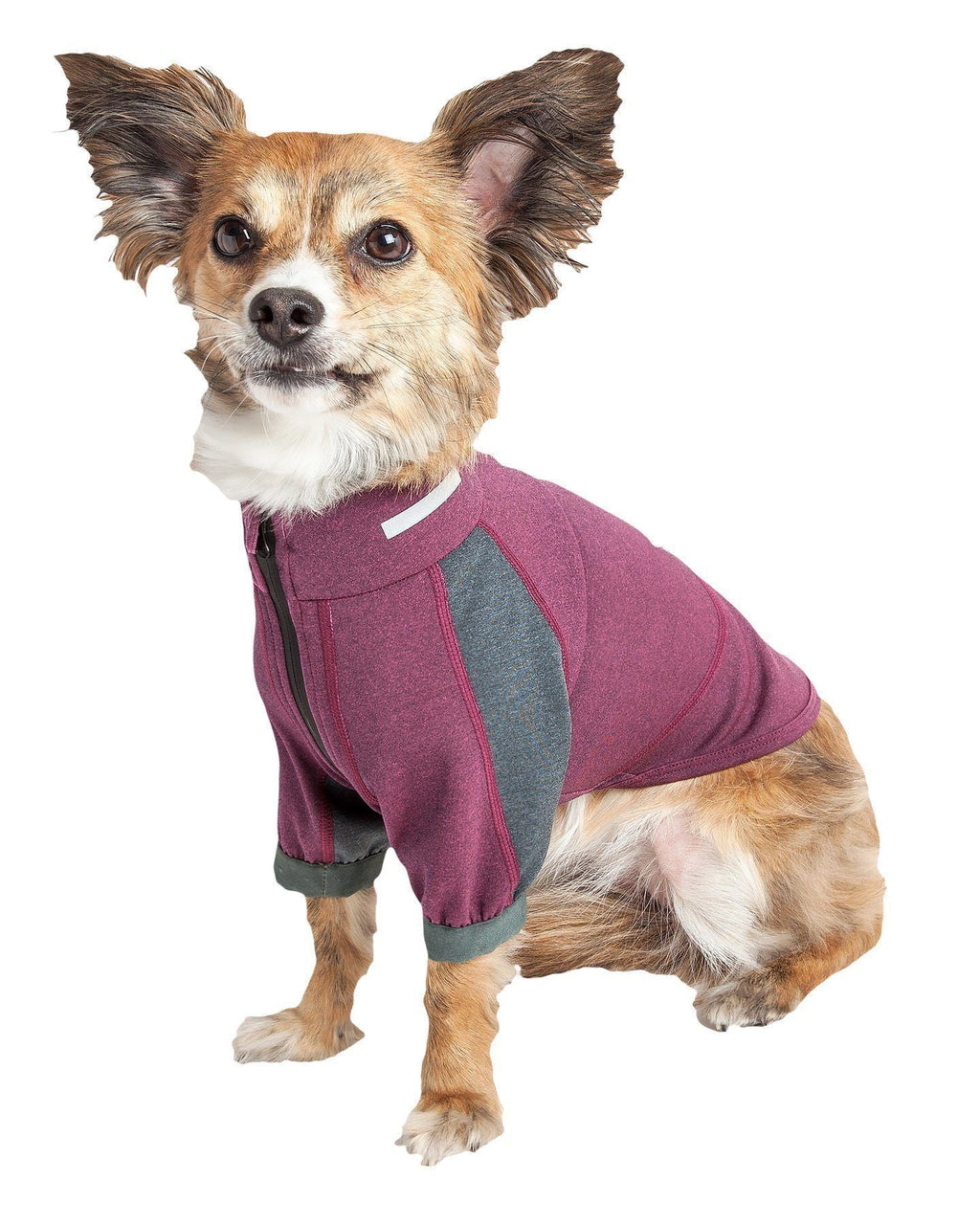 Ocean blue and gray dog yoga T-shirt on a dog, front view