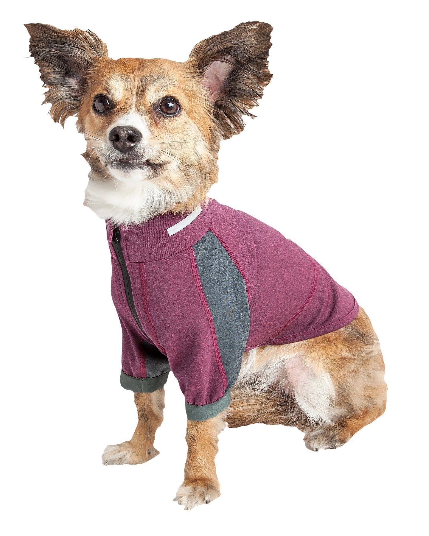 Ocean blue and gray dog yoga T-shirt on a dog, front view