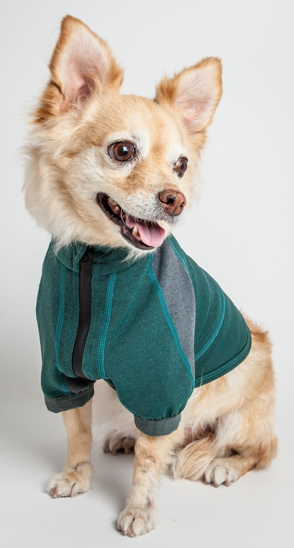 Forest green dog performance shirt with gray panels and front zipper