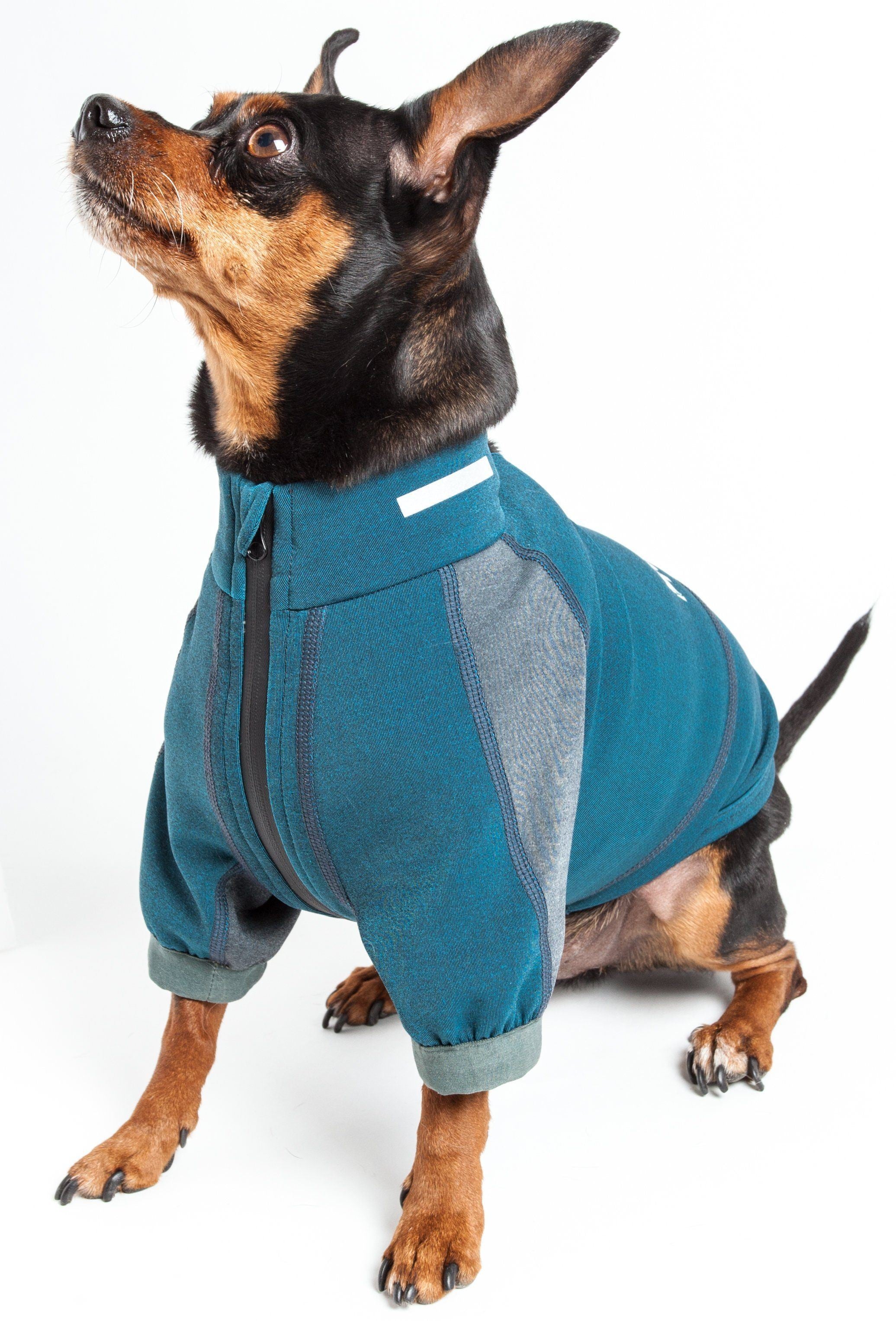 Teal and gray dog performance T-shirt with front logo patch and contrast side panels