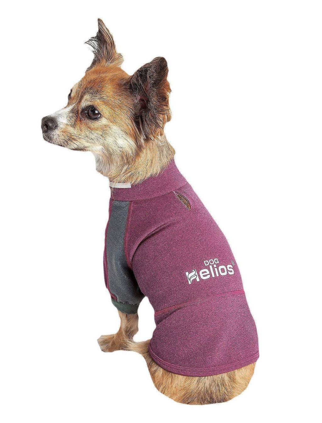 Dark pink and gray dog yoga T-shirt on dog, side view with logo