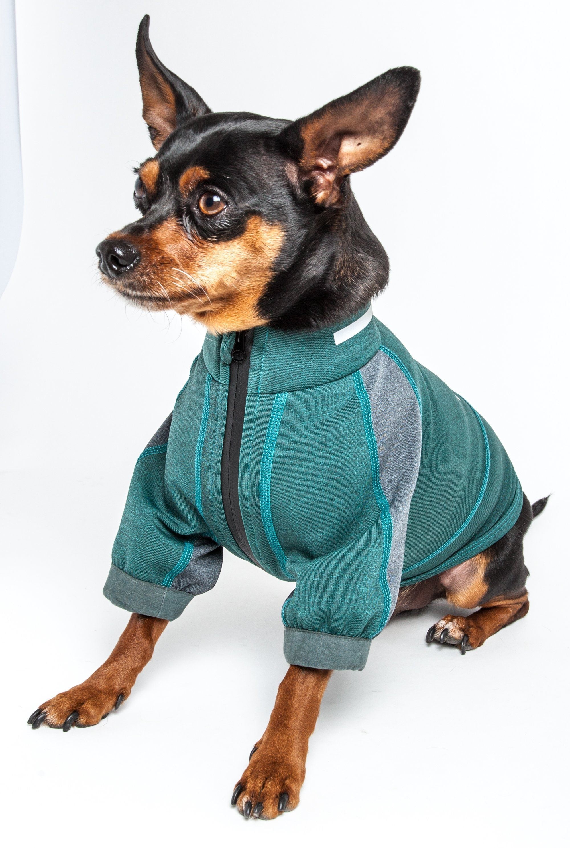 Ocean blue and gray dog yoga T-shirt on a dog, sitting