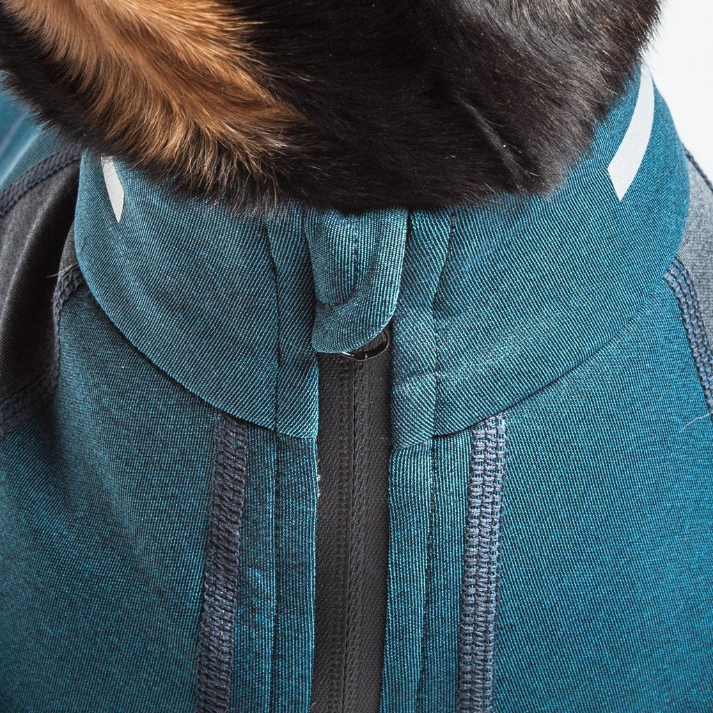 Ocean blue dog yoga shirt with gray trim, zipper and hood opening