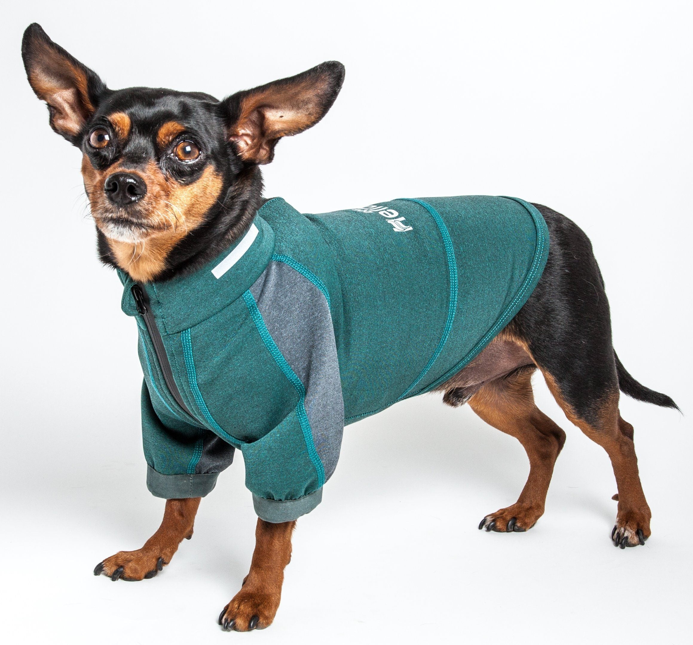 Teal and gray dog yoga T-shirt with high neck and elastic leg openings