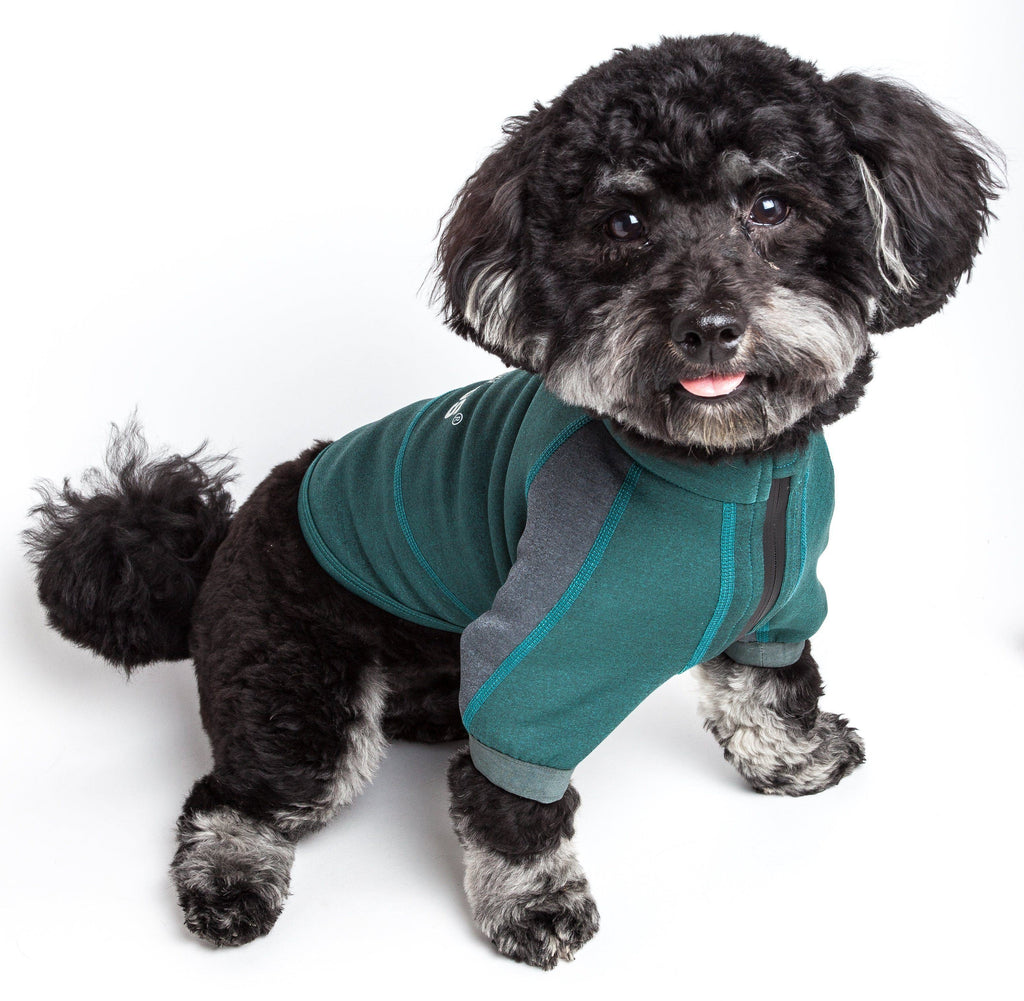 Forest green and gray dog yoga T-shirt on a dog, seated