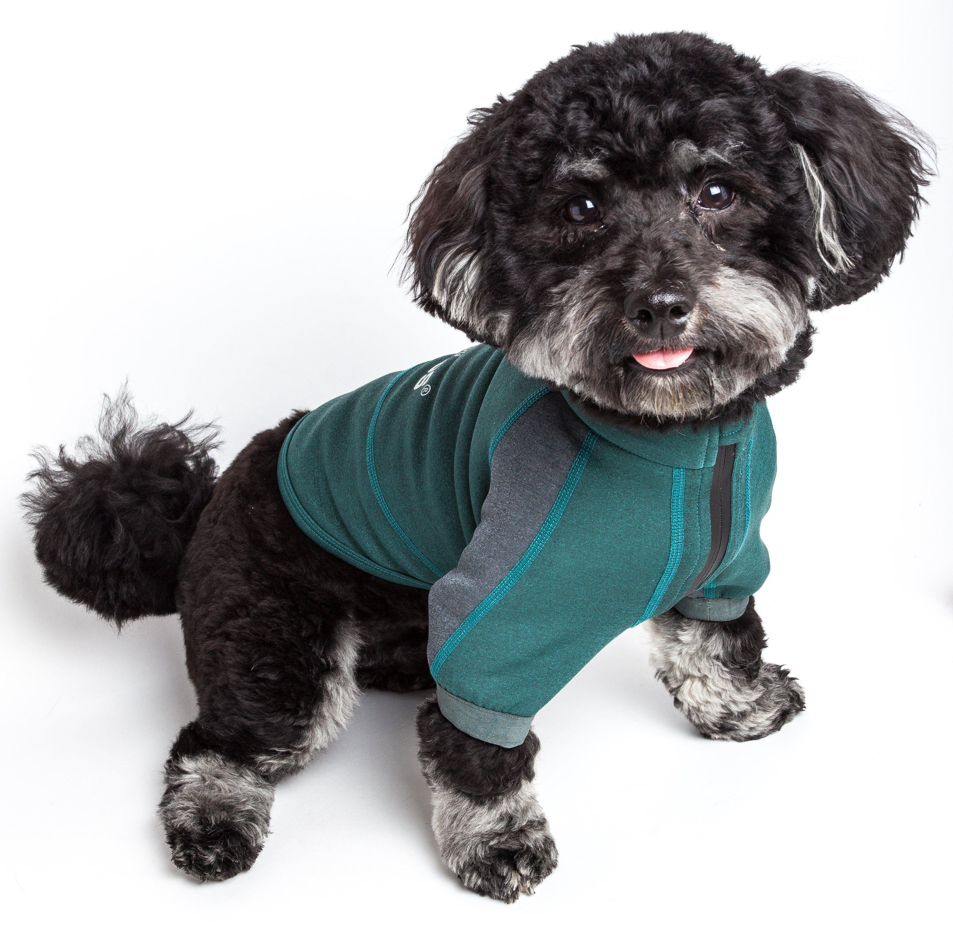 Forest green and gray dog yoga T-shirt on a dog, seated