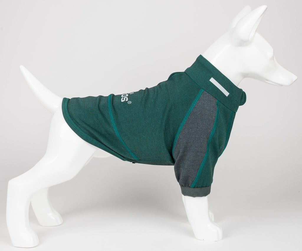 Teal dog performance T-shirt on mannequin with dark gray side panels and front collar