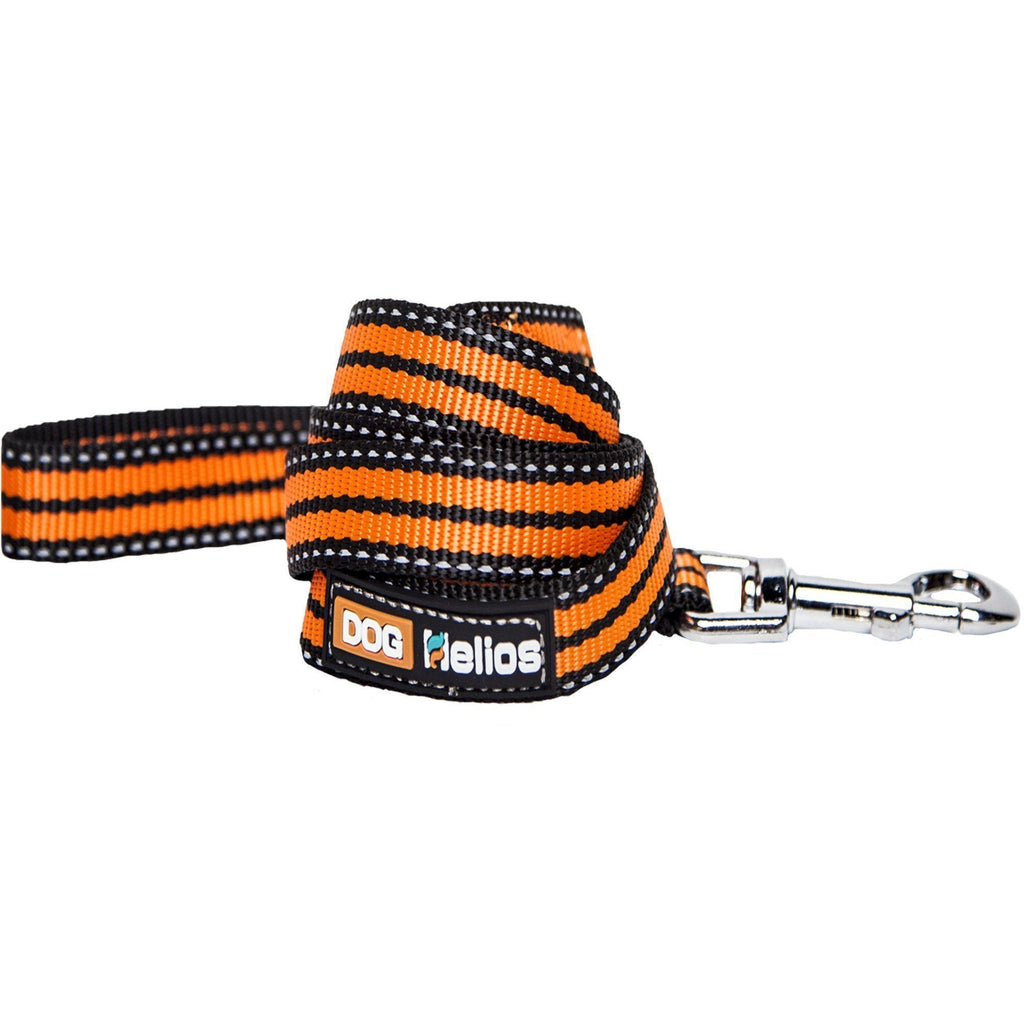 Orange striped dog leash strap with “Dog Helios” patch and metal clasp hardware