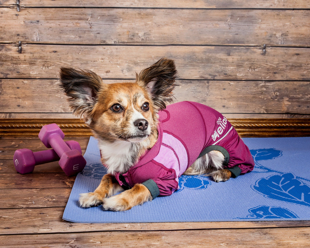Pink dog yoga hoodie tracksuit with teal cuffs, lying pose