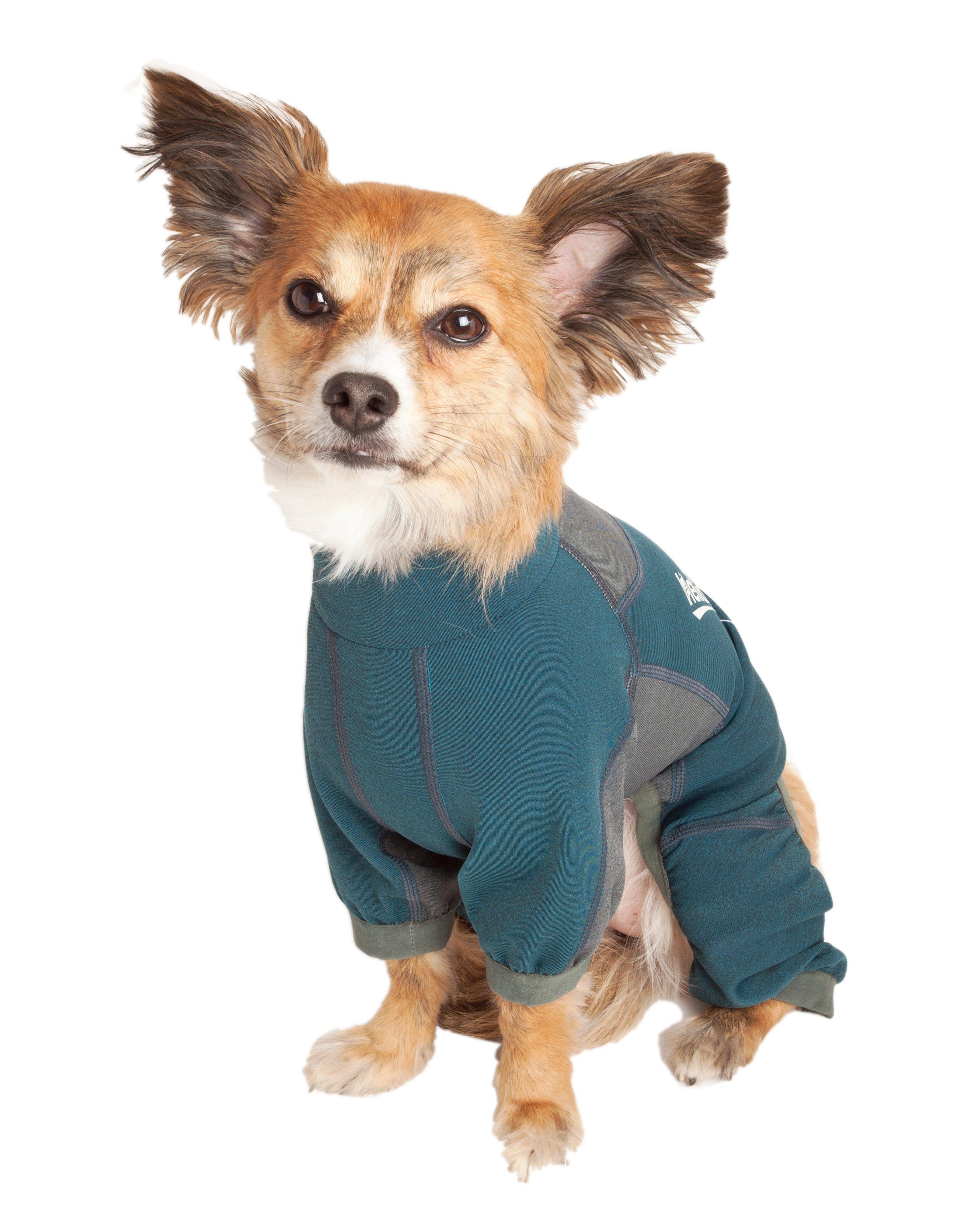 Blue and gray dog tracksuit jacket with contrast panels and Helios logo