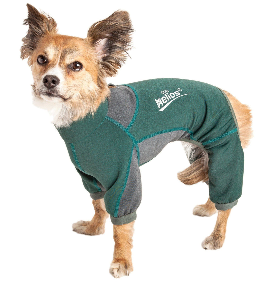 Dog tracksuit jacket in green with gray panels and dog-shaped neck opening