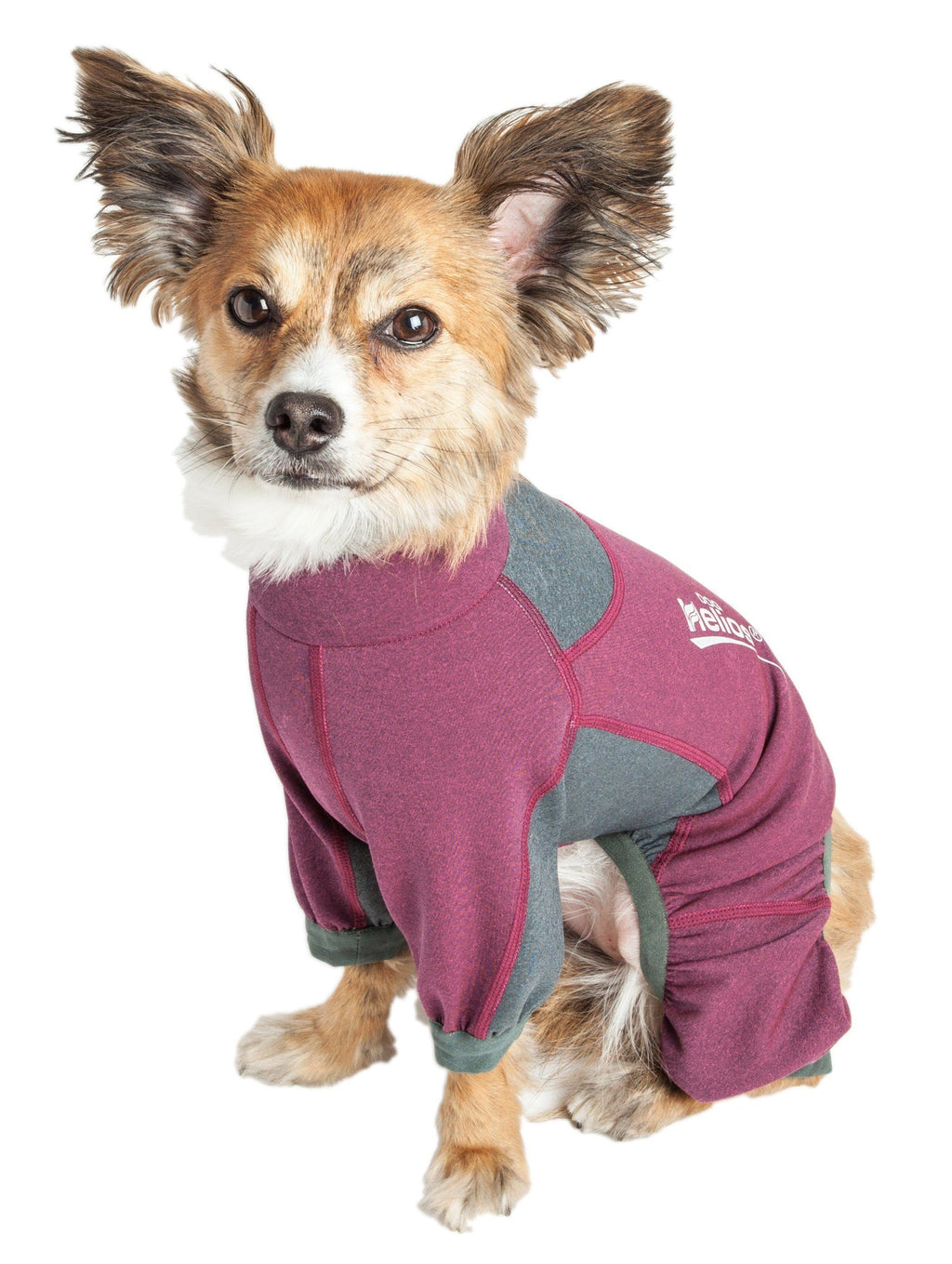 Pink and gray dog tracksuit jacket with front zipper and Helios logo