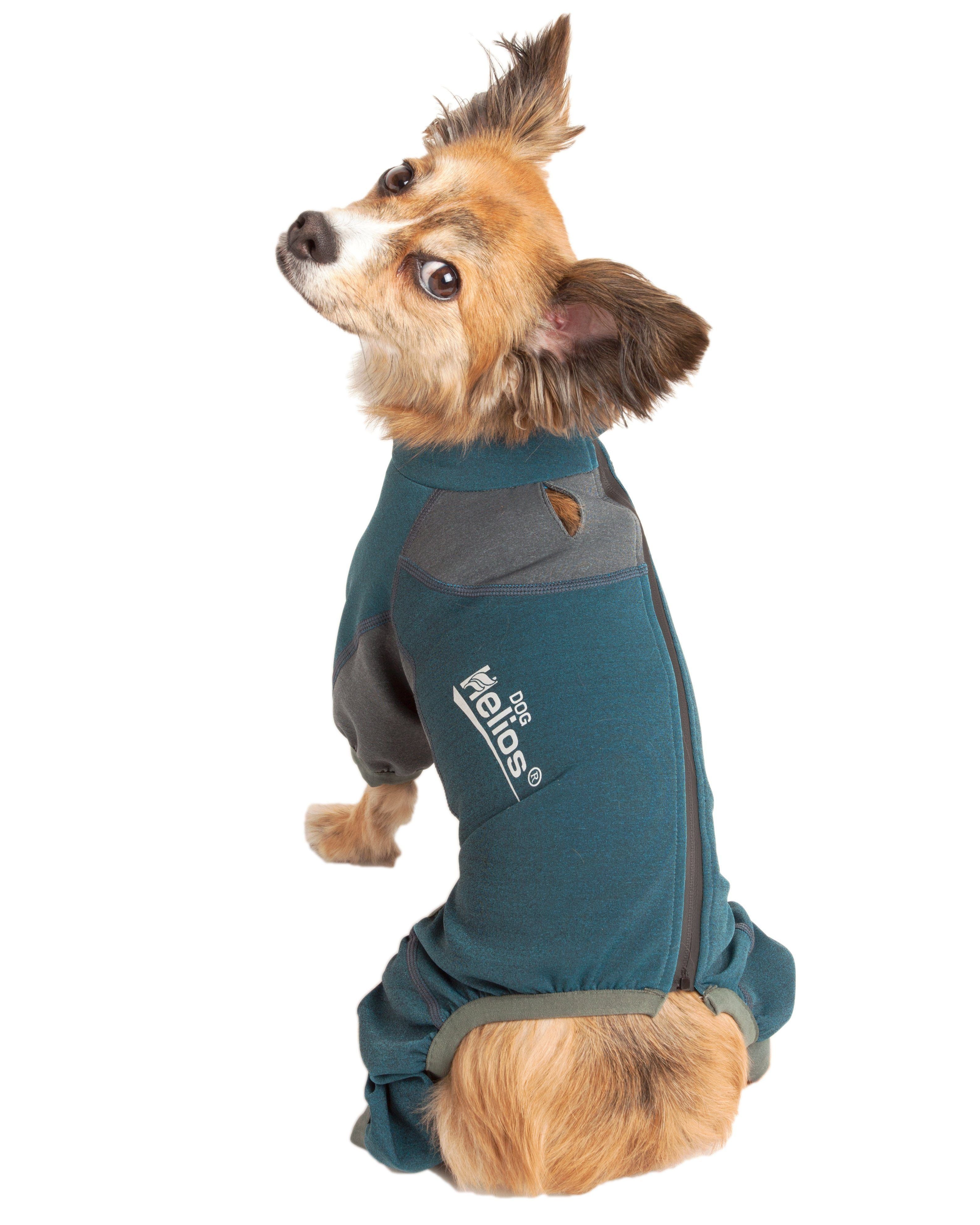 Teal and gray dog tracksuit jacket, standing pose with logo on chest
