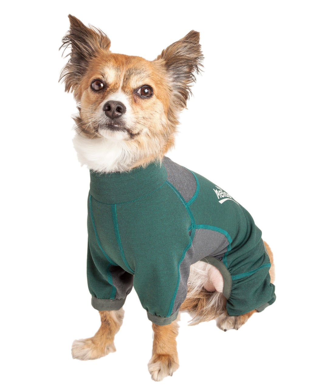 Blue and gray dog tracksuit jacket with paw openings and Helios logo