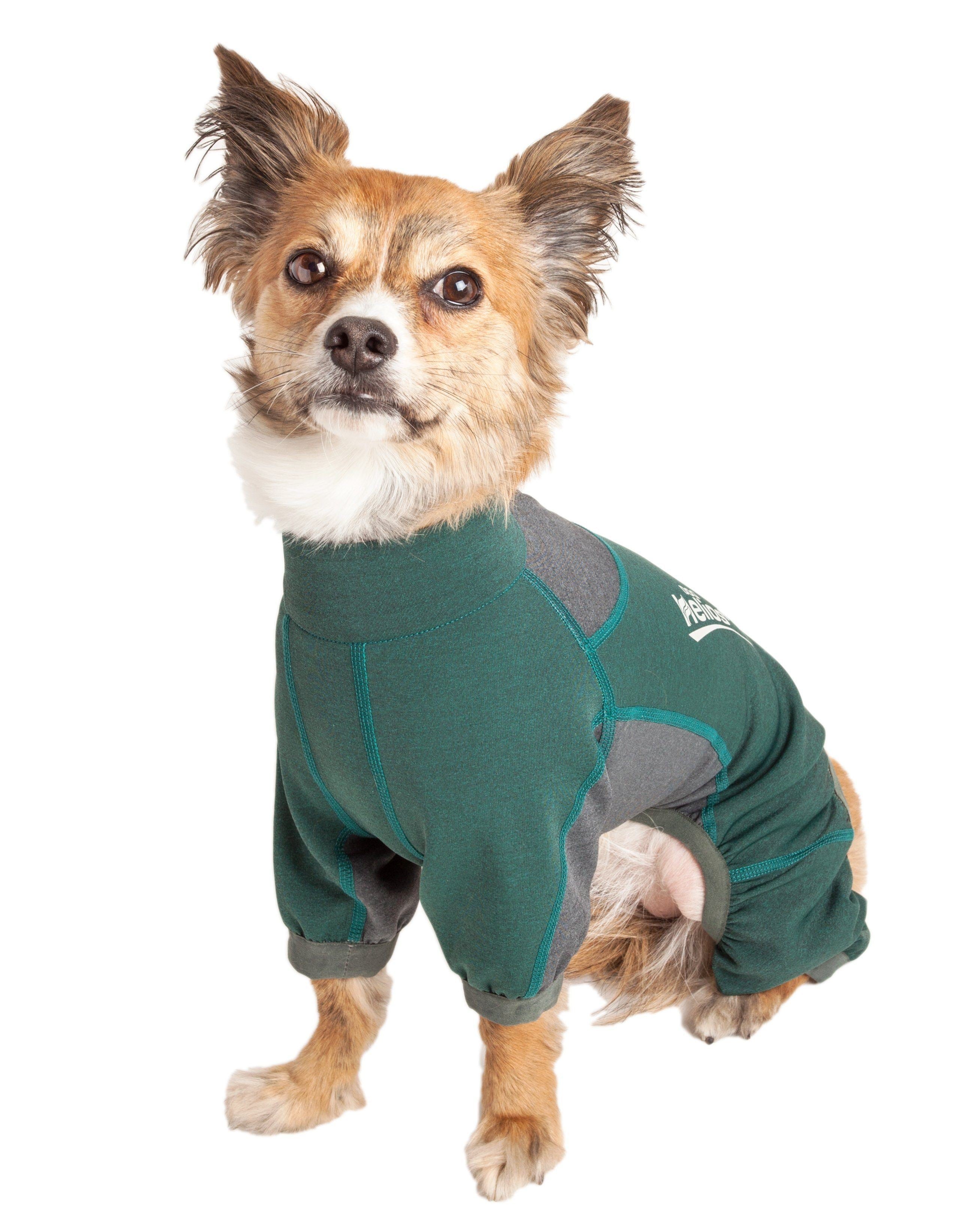 Blue and gray dog tracksuit jacket with paw openings and Helios logo