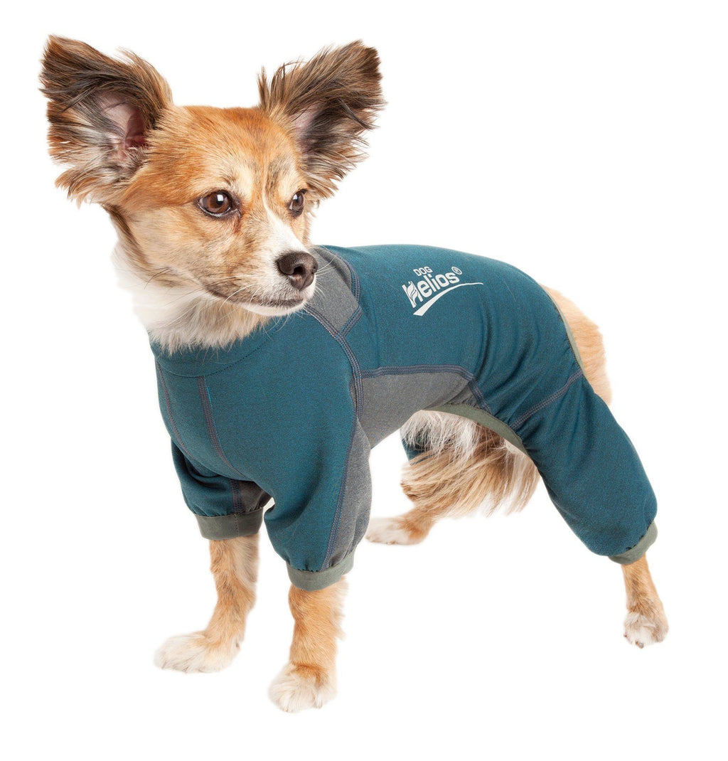 Dog tracksuit jacket in teal with gray panels and dog-shaped neck opening