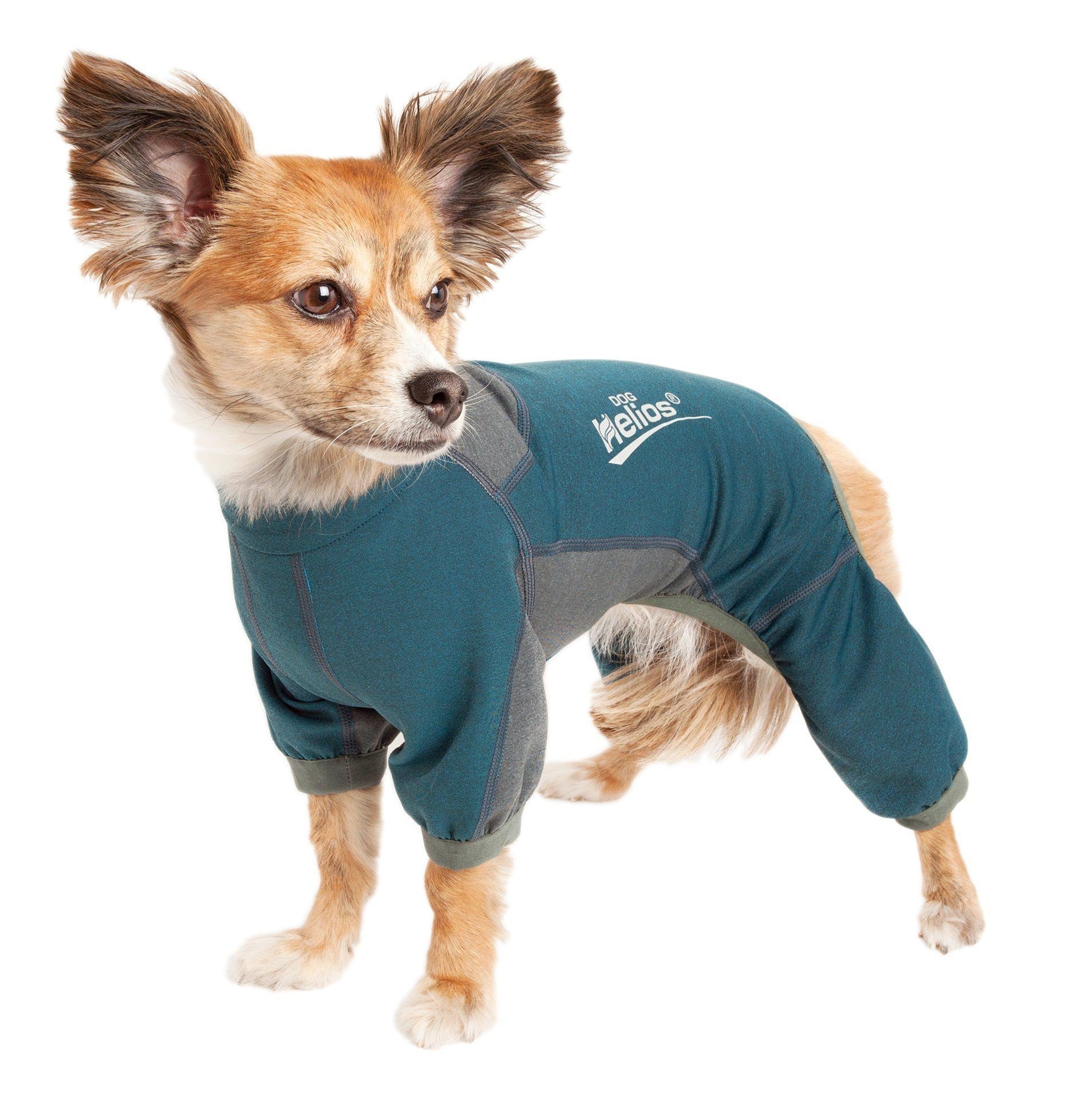 Dog tracksuit jacket in teal with gray panels and dog-shaped neck opening