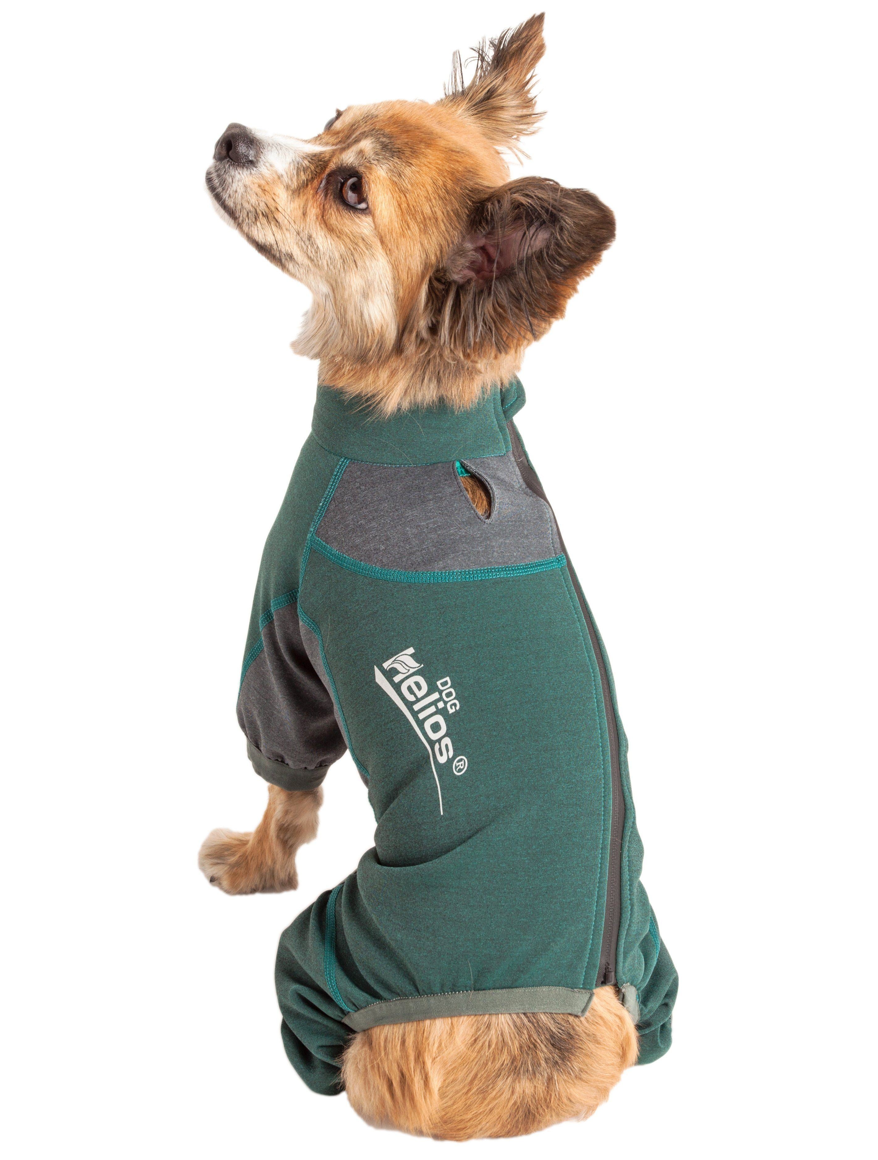 Green and gray dog tracksuit jacket with zipper, paw holes, and Helios logo