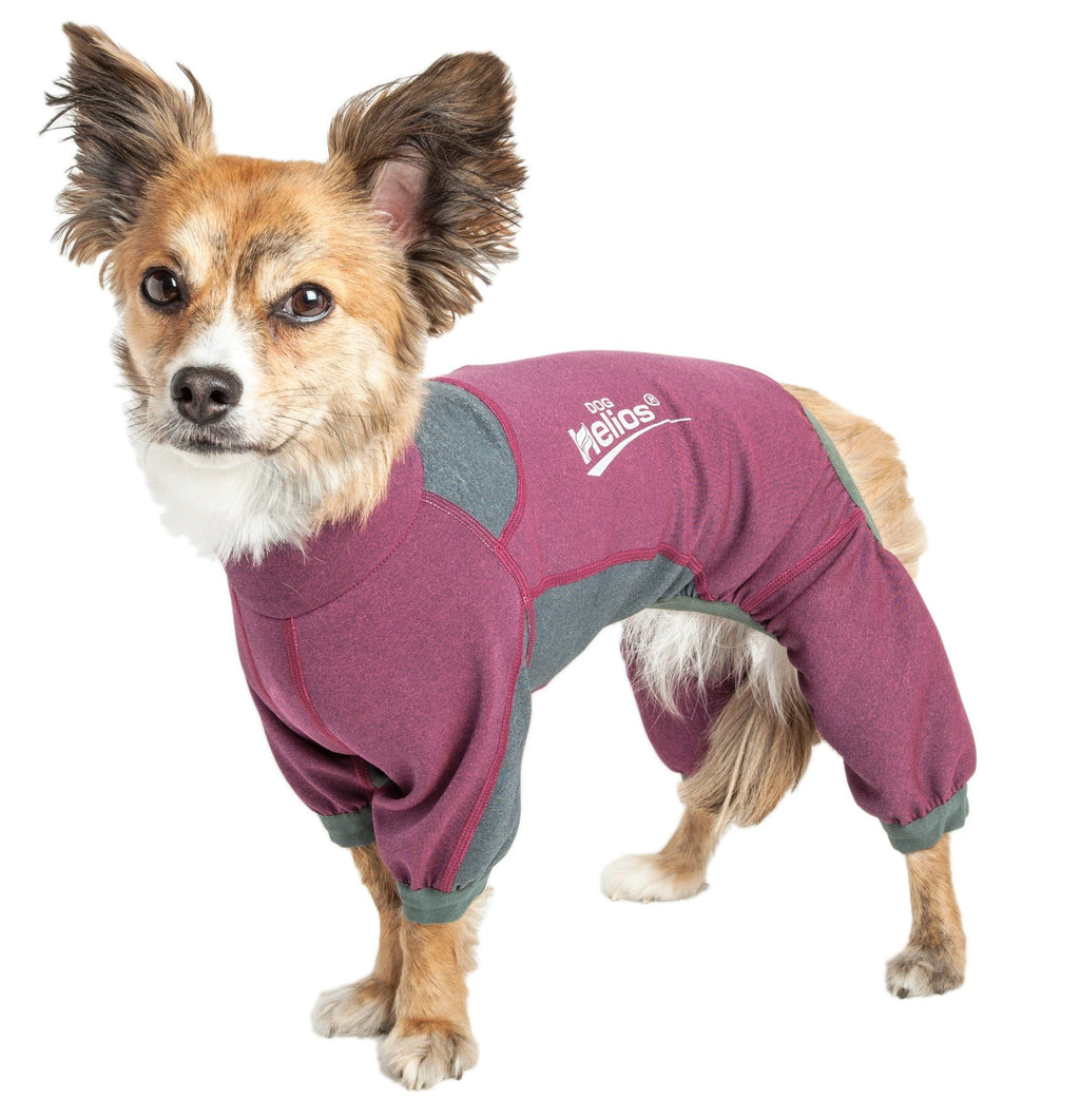 Dog tracksuit jacket in burgundy/pink with gray panels and dog-shaped neck opening