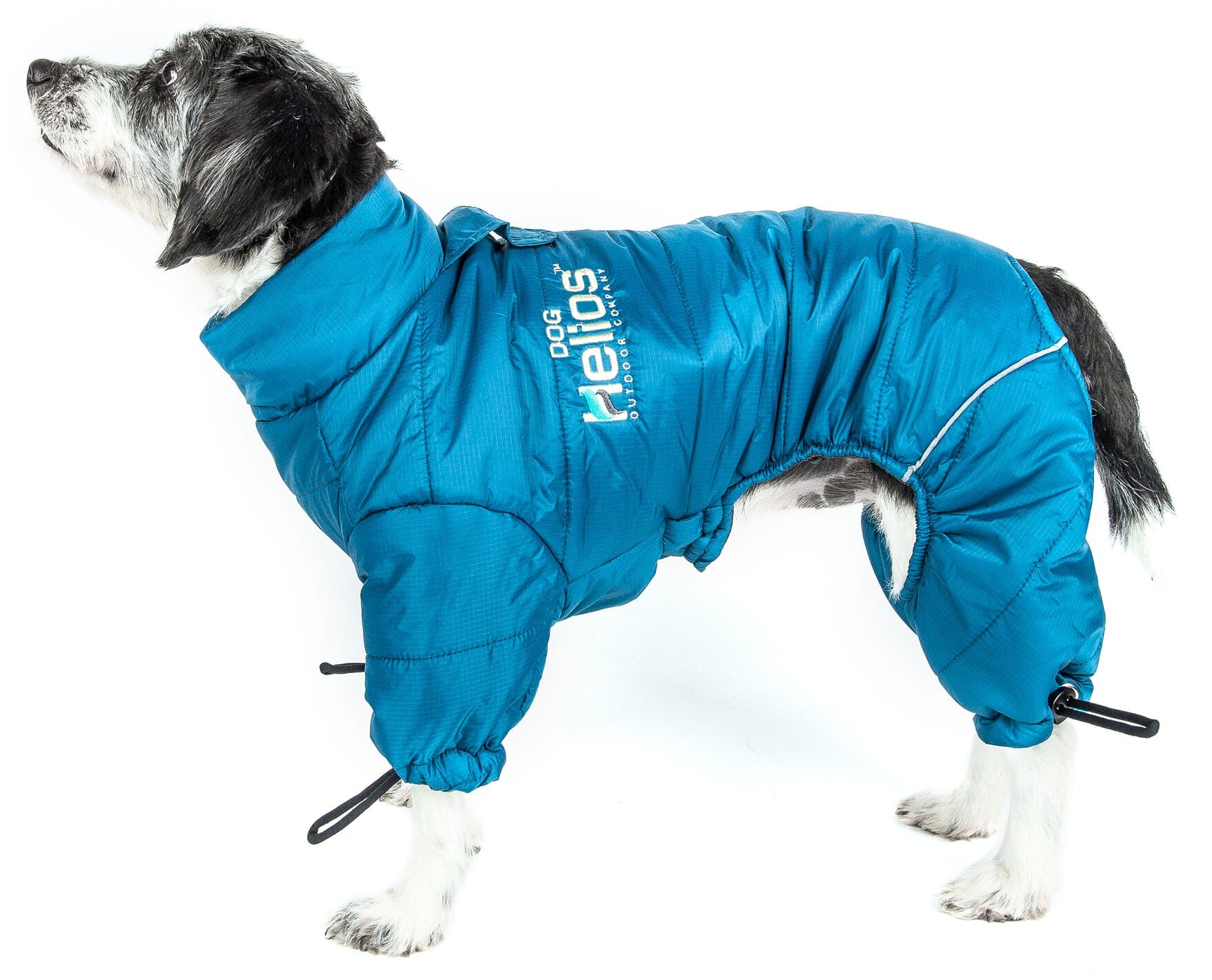 Blue reflective dog winter jacket with hood opening and leg strap adjustments