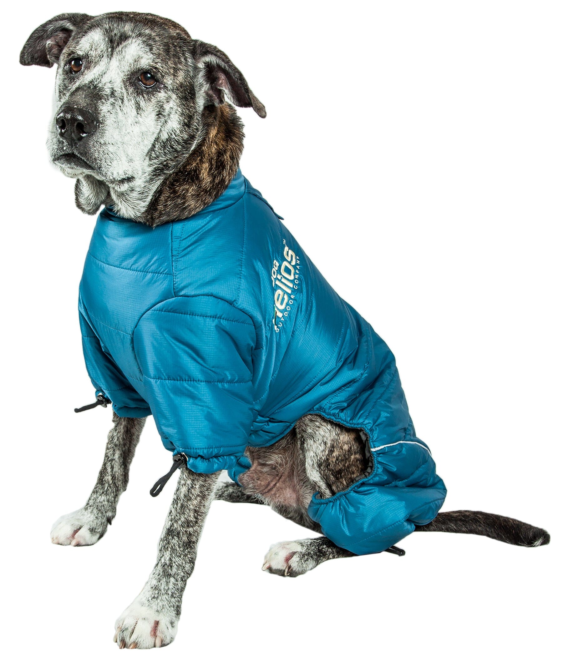 Blue padded full-body dog jacket with raised collar and cinch strap at belly