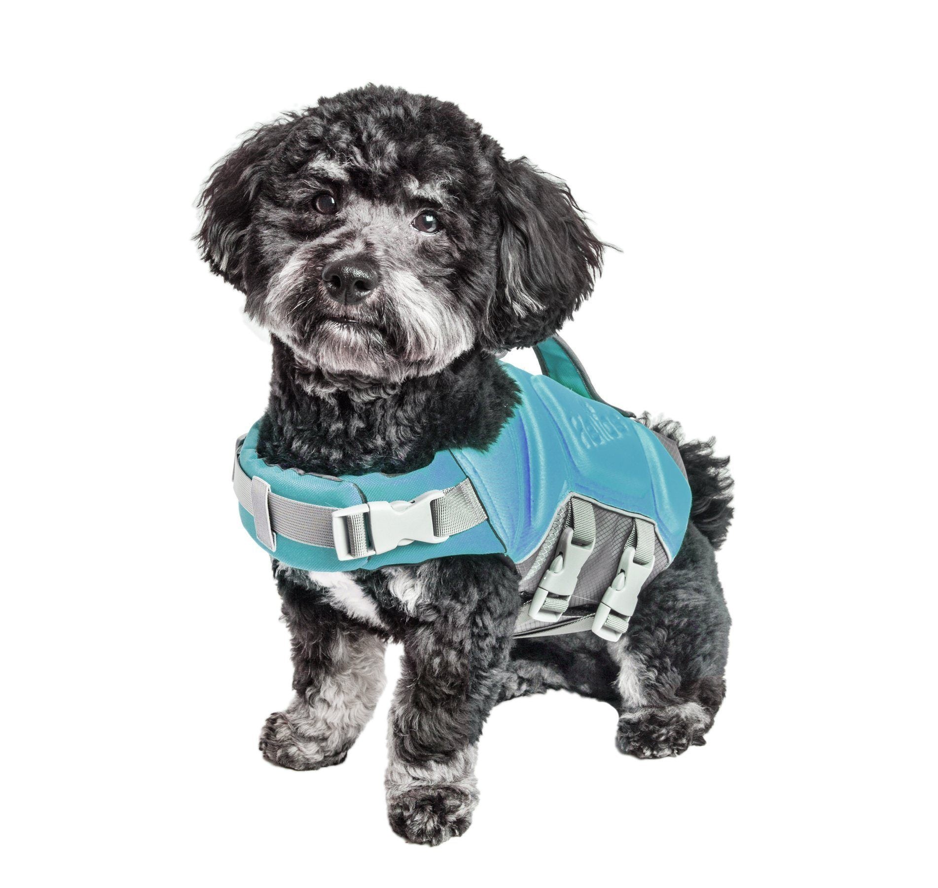 Light blue pet life jacket vest with front buckles, gray straps, and padded buoyancy