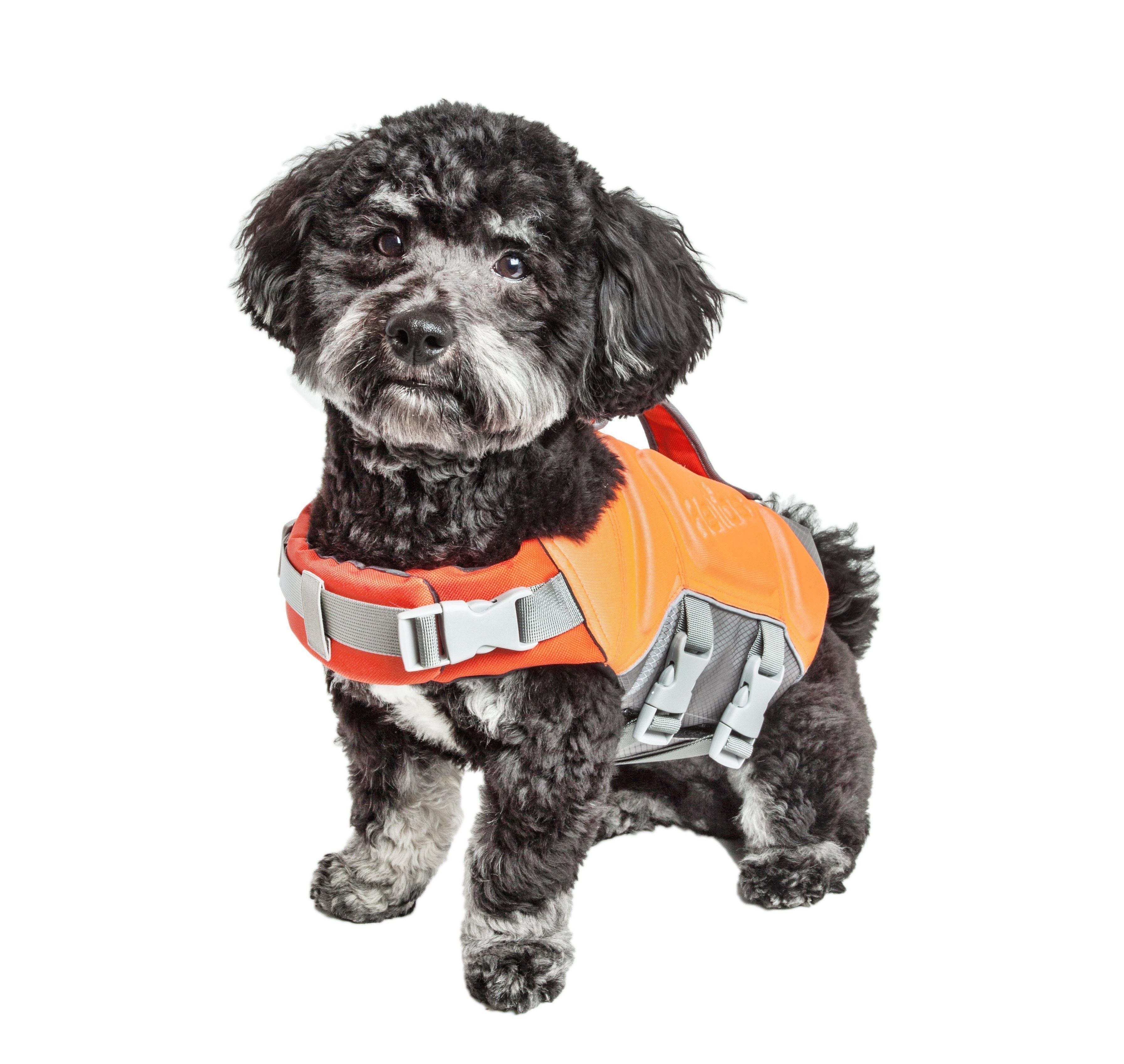 Orange pet life jacket vest with front buckles, gray straps, and padded buoyancy
