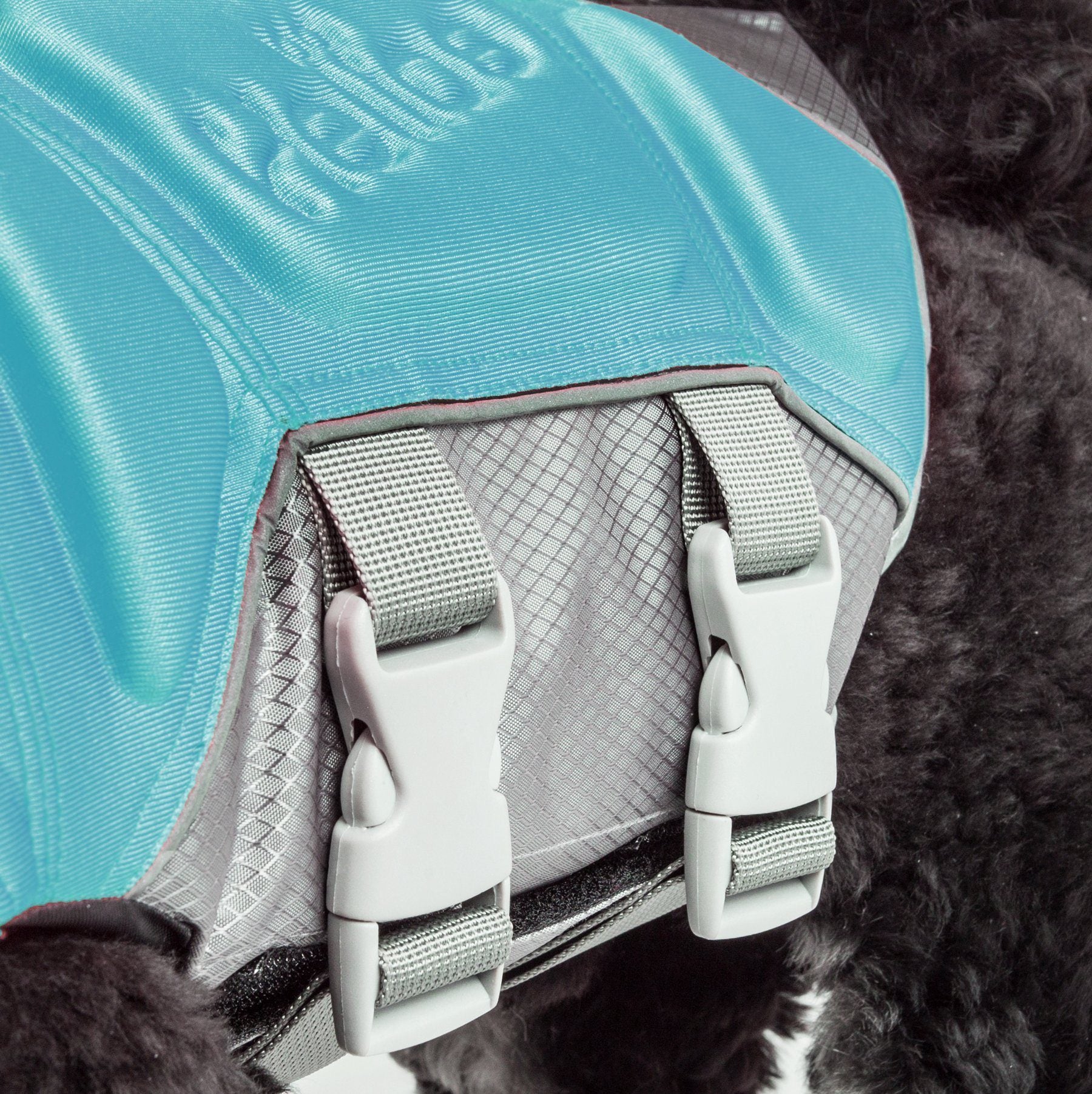 Close-up of light blue life jacket vest with gray buckles and textured strap padding