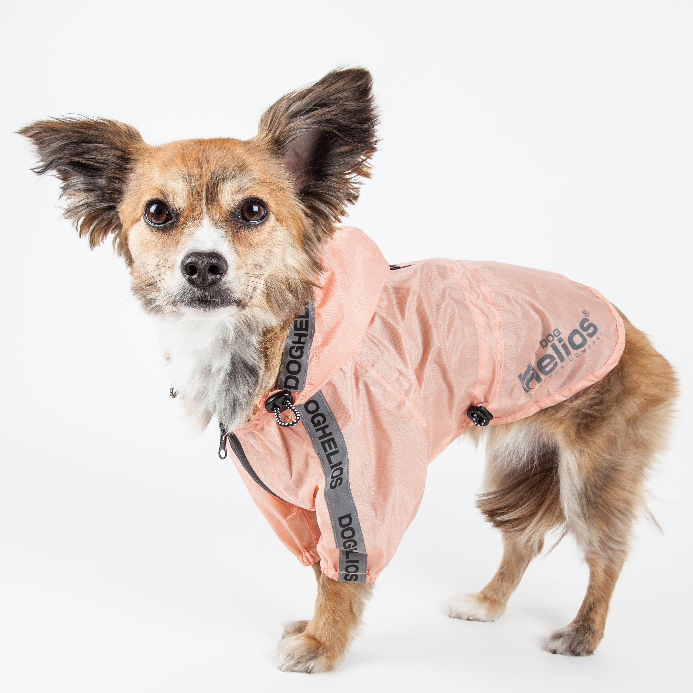 Peach waterproof dog raincoat poncho with hood and adjustable chin strap, dog portrait