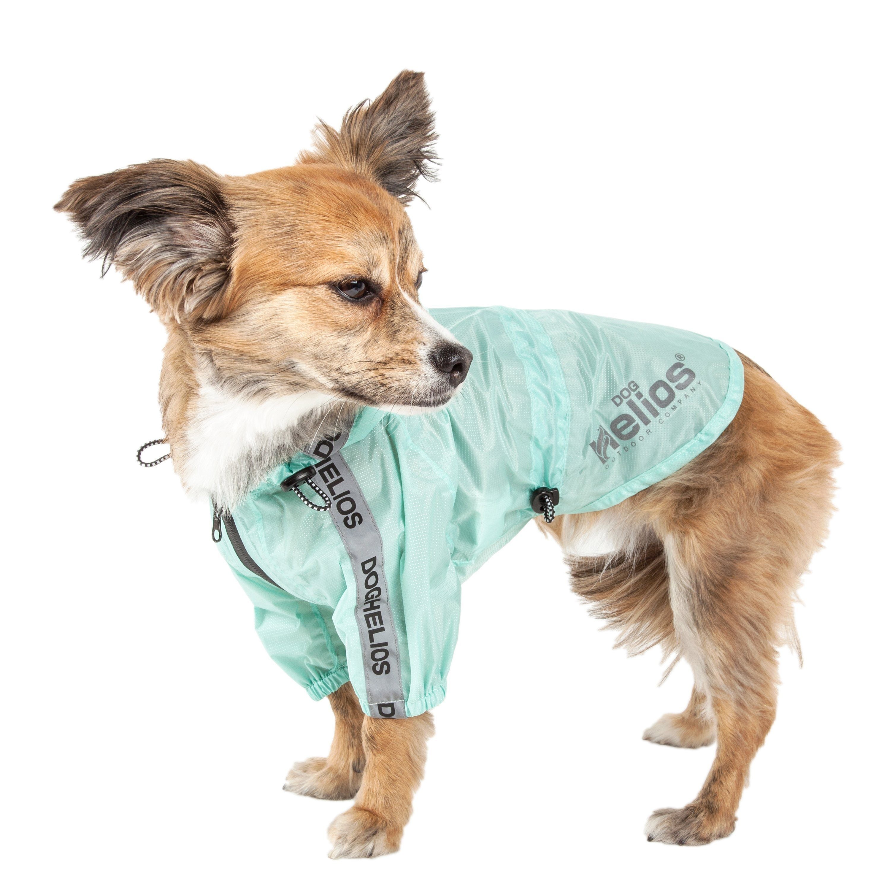 Aqua blue dog raincoat poncho with waterproof hood and front closure, standing view
