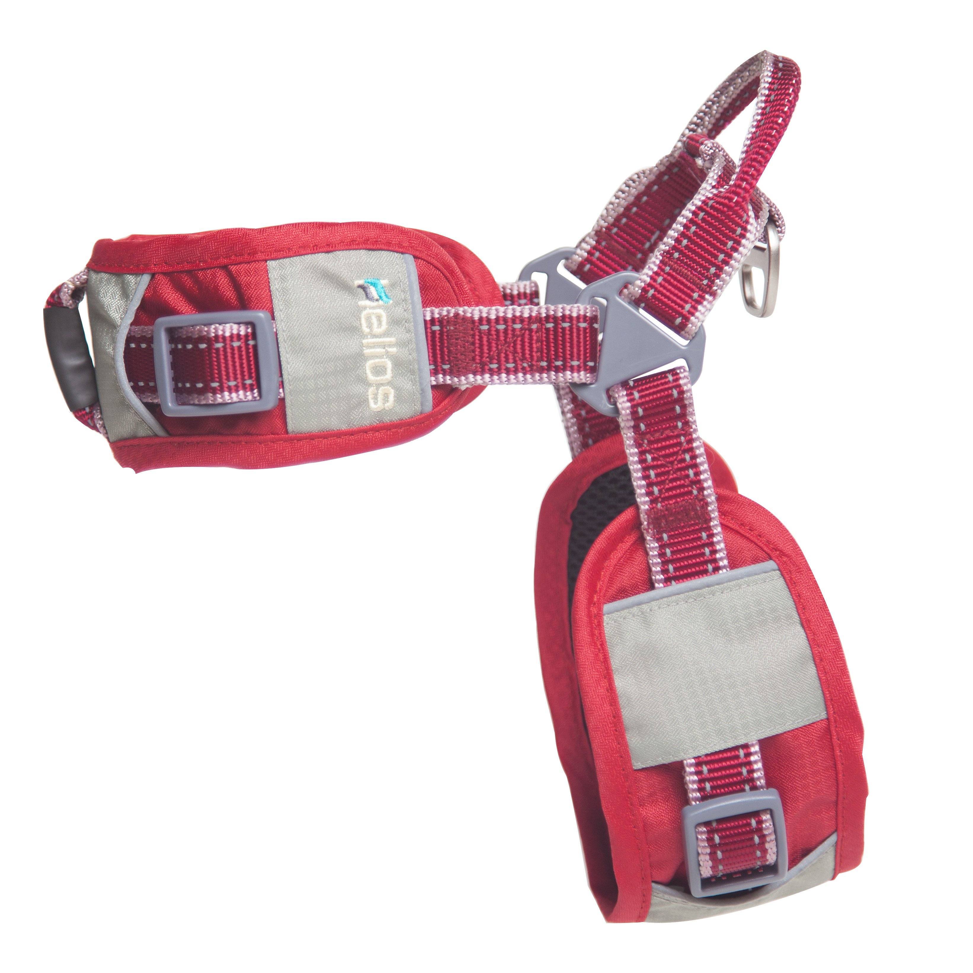 Red dog comfort leash and harness set with padded chest strap and metal buckles