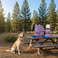 Dog Travel Backpack Campsite