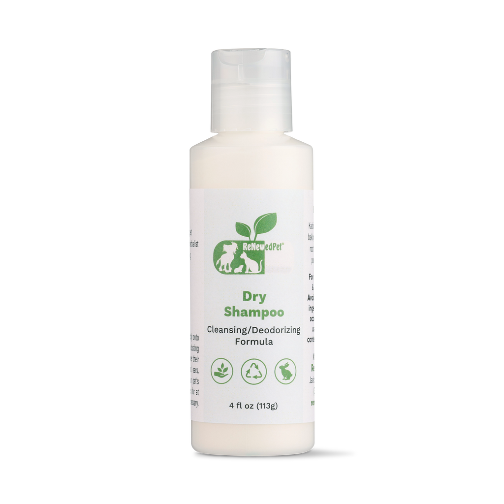 ReNewedPet dry shampoo bottle, 4 fl oz (113g), front label with green “Dry Shampoo”