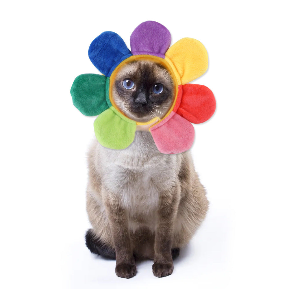 Pet cat hat with rainbow flower petals and padded round opening