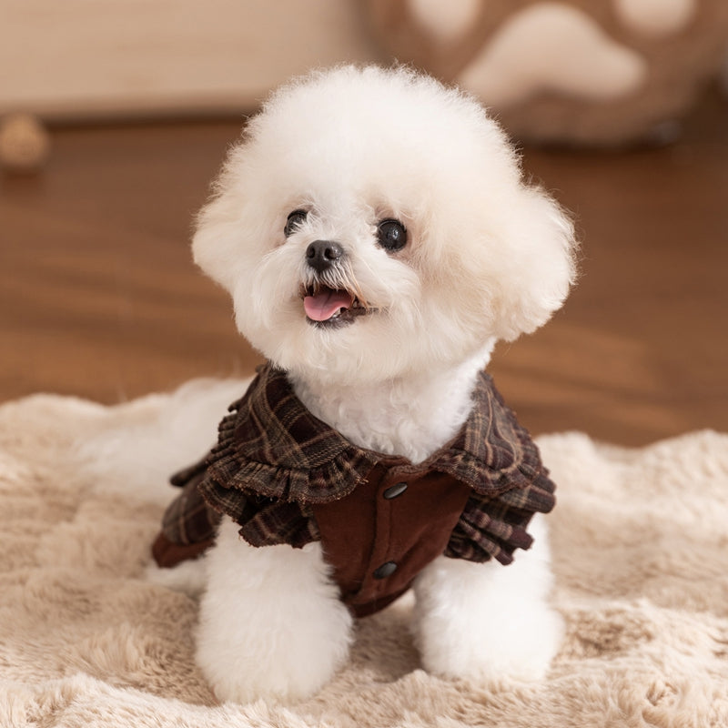 Small dog wearing brown plaid pet sweater dress with bow collar and ruffle skirt