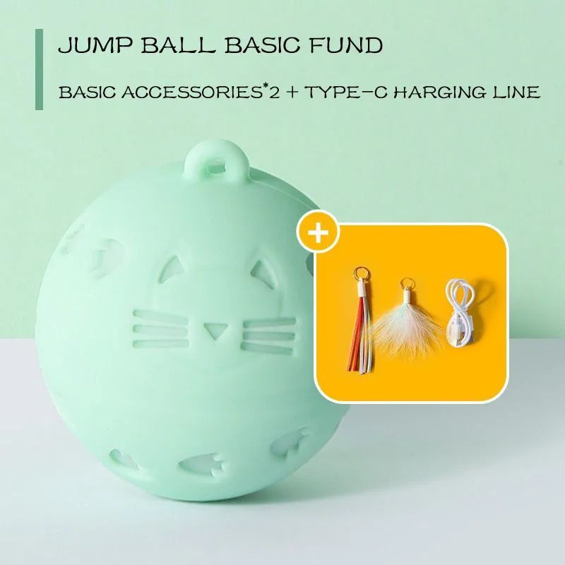 Crazy Ball Interactive Pet Toy