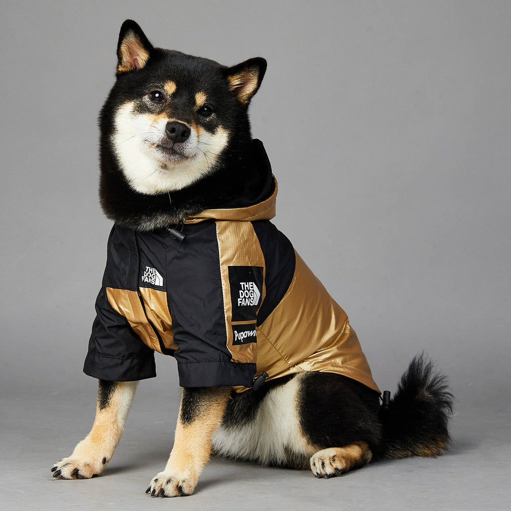 Gold and black dog raincoat with hood, short sleeves, front closure and side straps