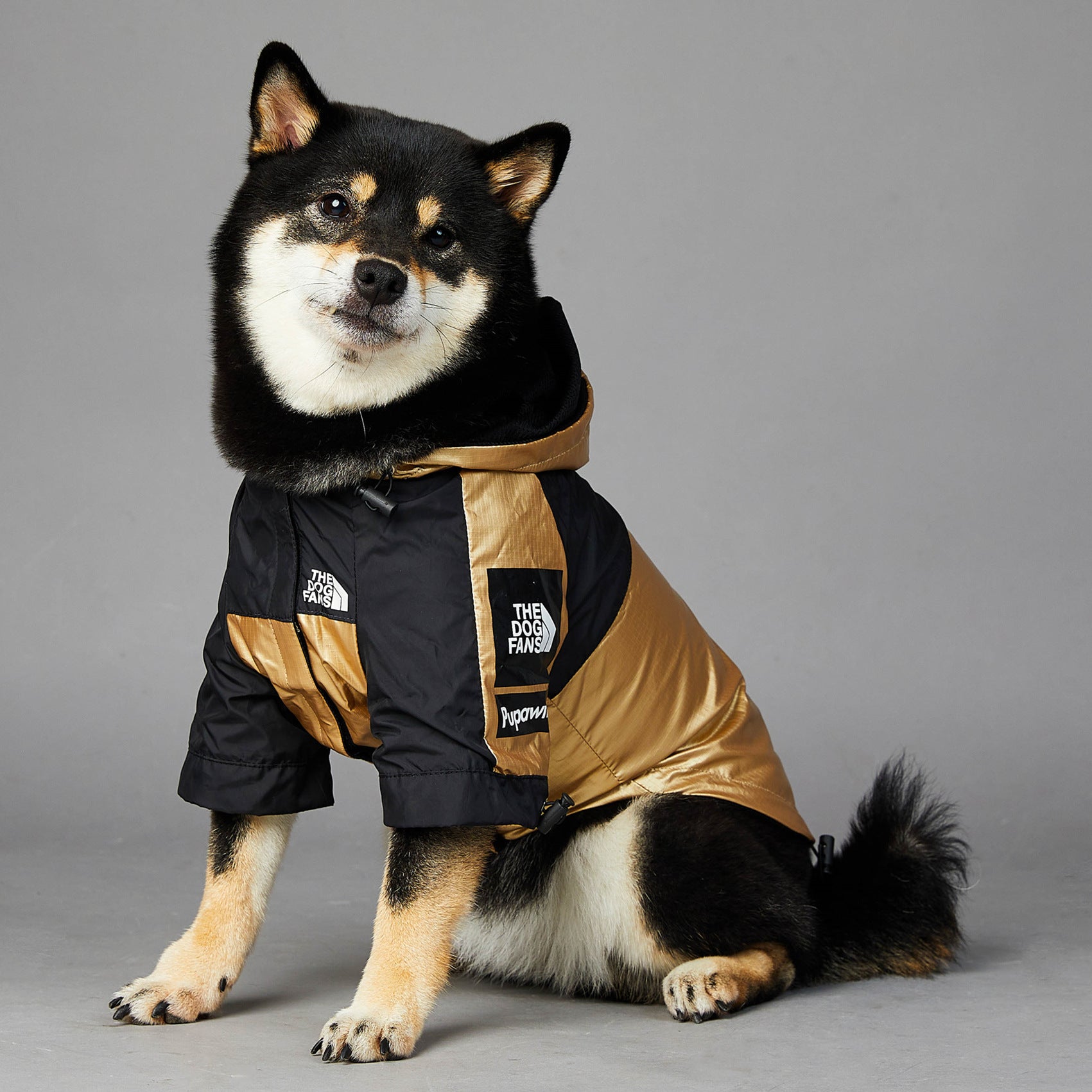 Gold and black dog raincoat with hood, short sleeves, front closure and side straps