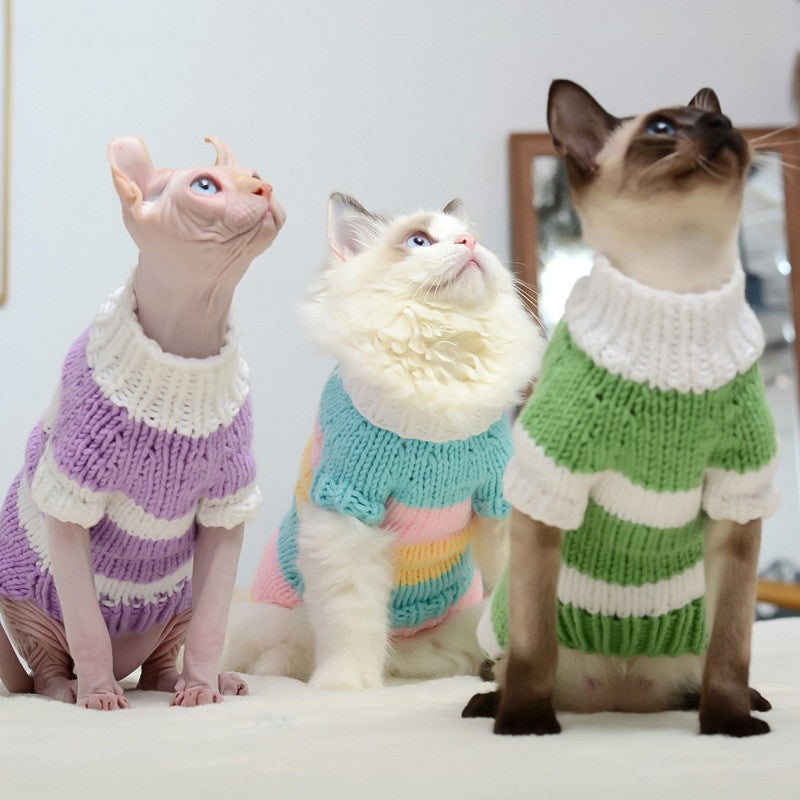 Set of cat warm sweaters, striped knit turtlenecks in purple, blue, and green