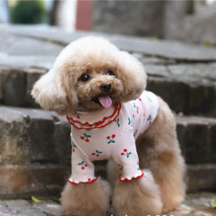 Dog wearing white cherry-print cotton top with red wavy lapel trim and short sleeves