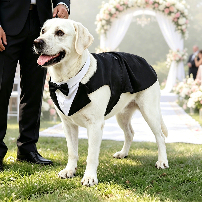 Dog tuxedo with black jacket, white shirt front, and bow tie