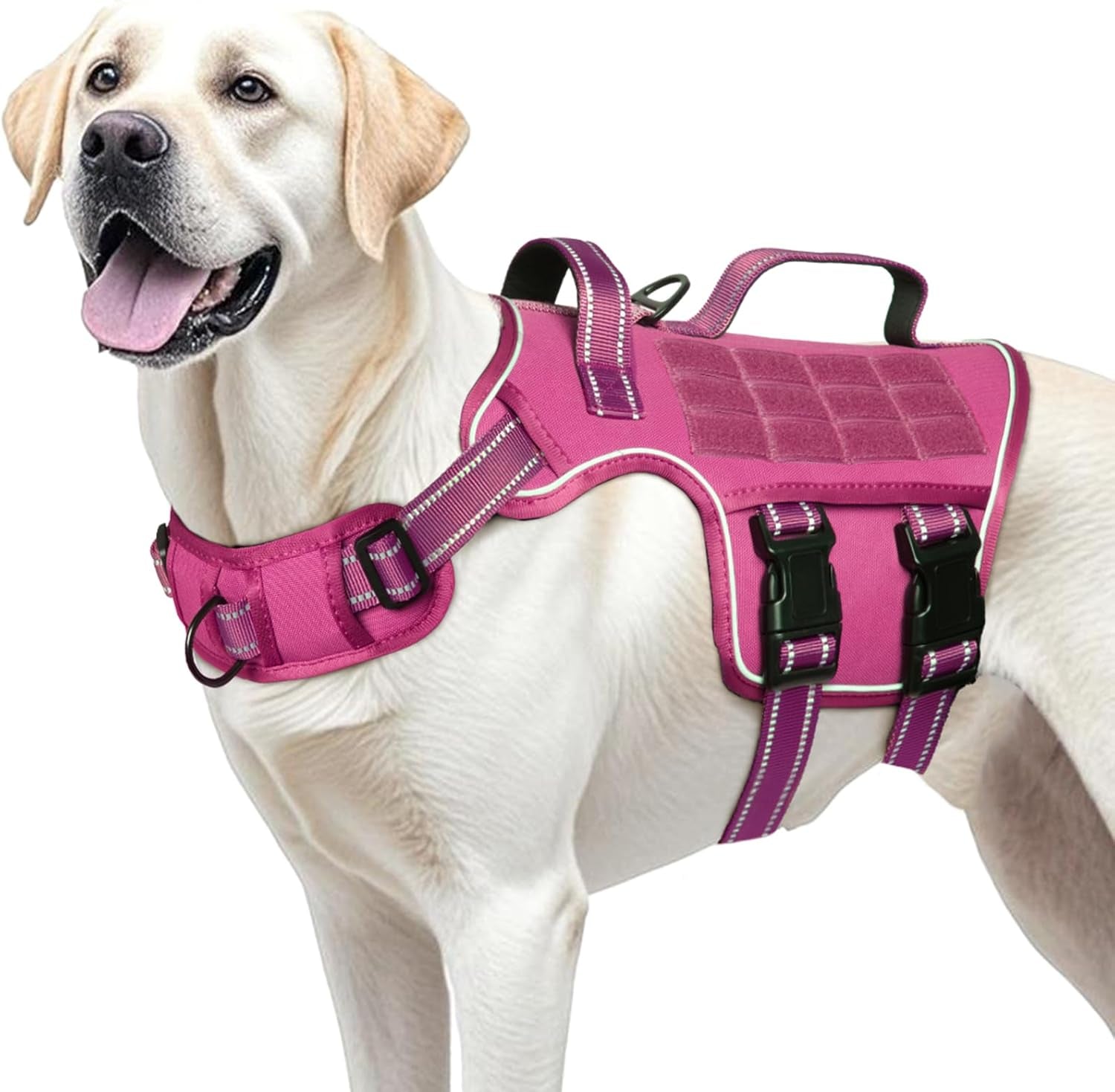 Dog tactical MOLLE harness, hot pink vest with black buckles and MOLLE panel