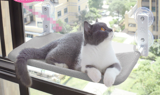 Grey-and-white cat on beige mesh window hammock with suction cup mounts
