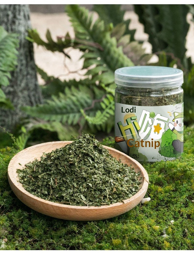 Catnip Cat Grass Treats
