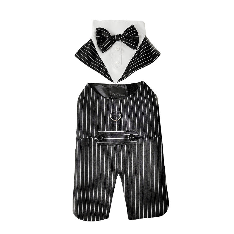 Striped black dog tuxedo suit with white pinstripes, bow tie, and shirt front