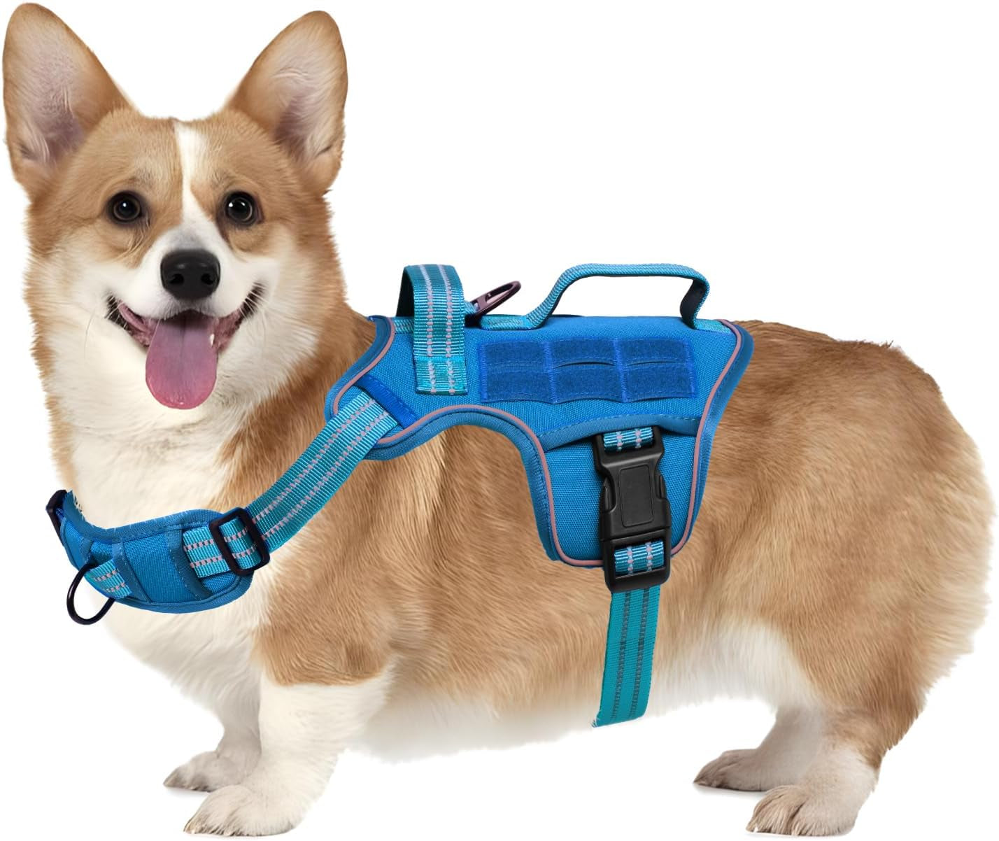 Dog tactical harness vest in blue with padded chest panel, front straps, and buckles