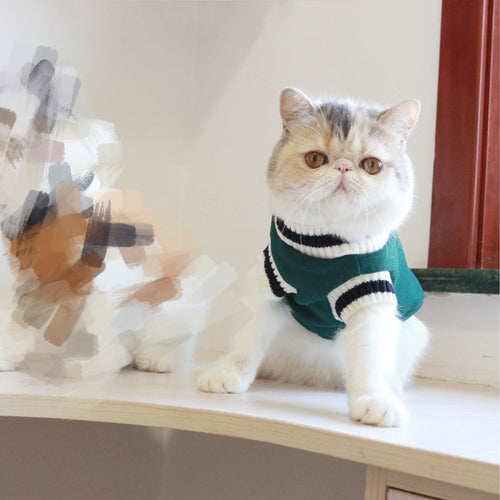 Sleeveless knit cat sweater vest, dark green with black and white striped collar.