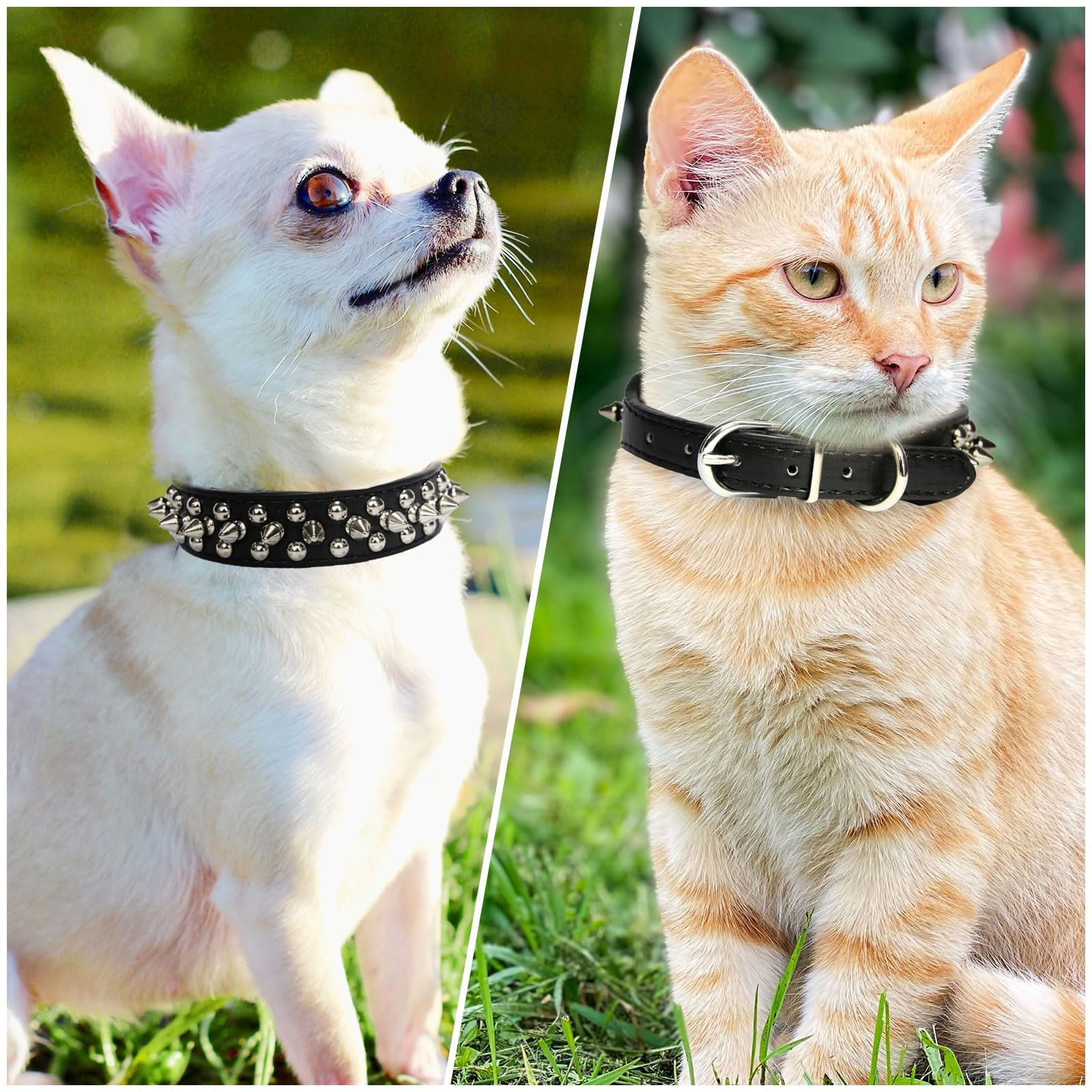 Black spiked dog collar with silver studs, adjustable buckle, padded strap.