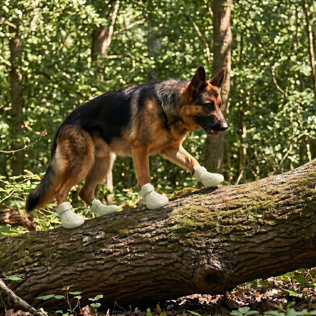 Light beige dog clog shoes with perforations and strap, worn while standing on a log.