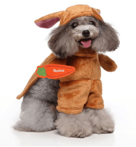 Rabbit dog costume with tan hood and orange plush overalls
